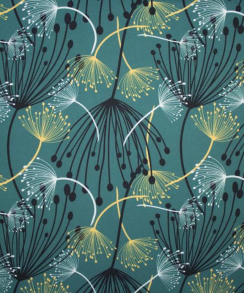 Softshell, Löwenzahn