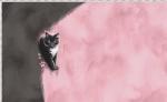 EP "Katze" schwarz/rosa, Panel, Jersey